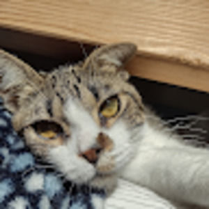 Meet your Posher, Marguerite